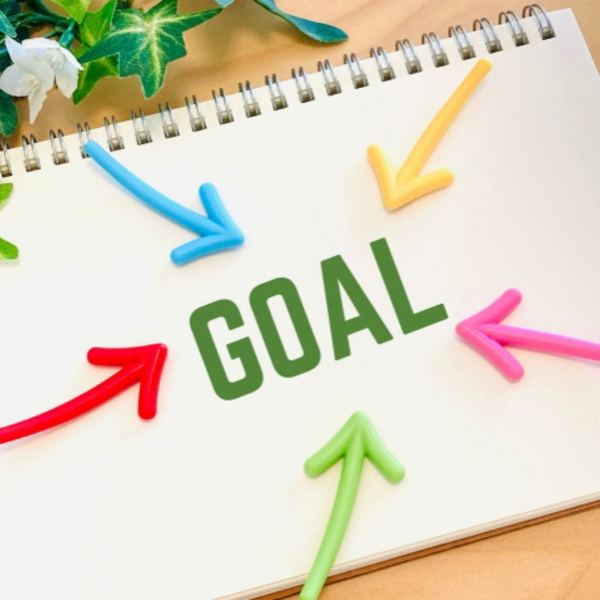 支援の進め方へ